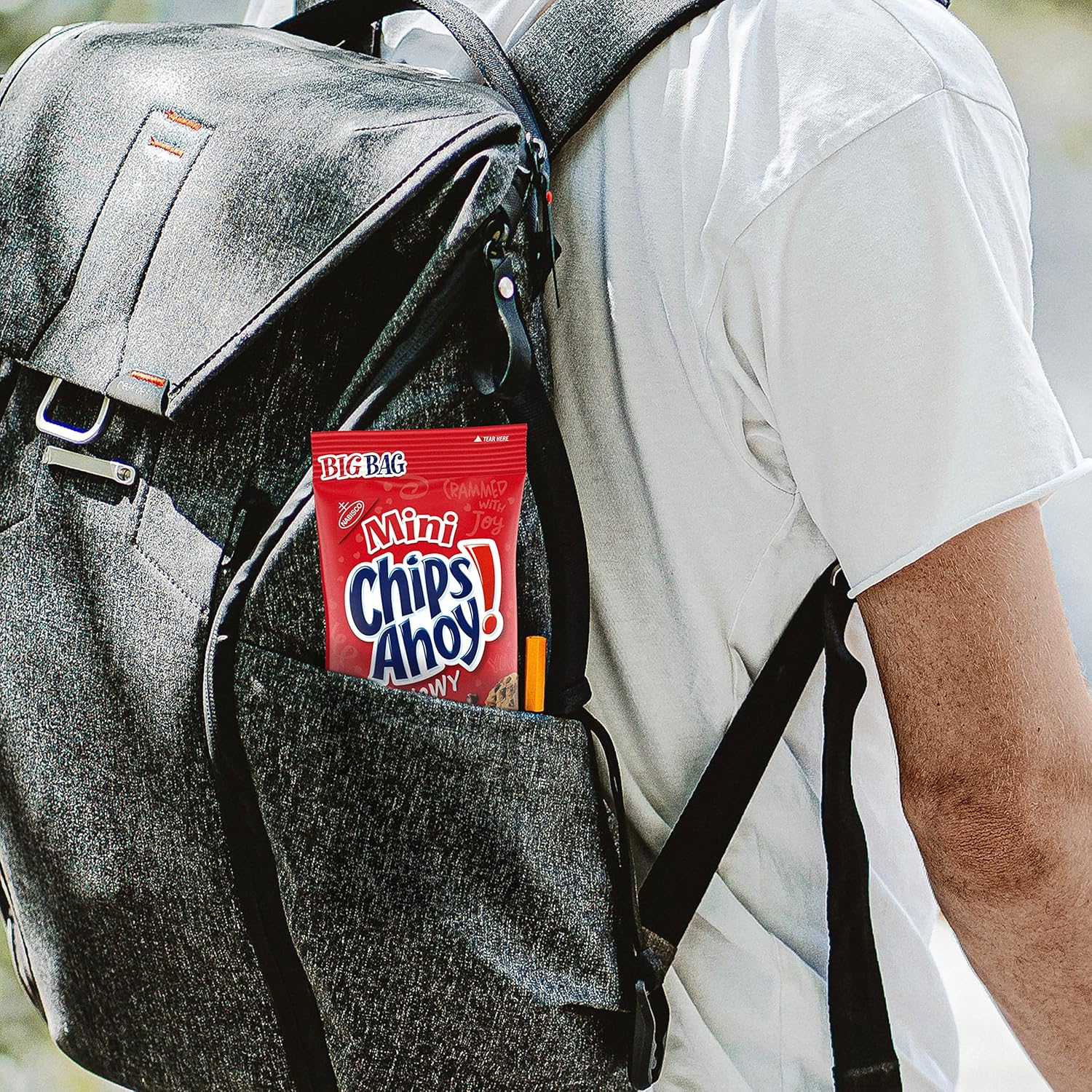 NABISCO CHIPS AHOY! CHIPS AHOY! Original Chocolate Chip Cookies, Party Size, 25.3 oz